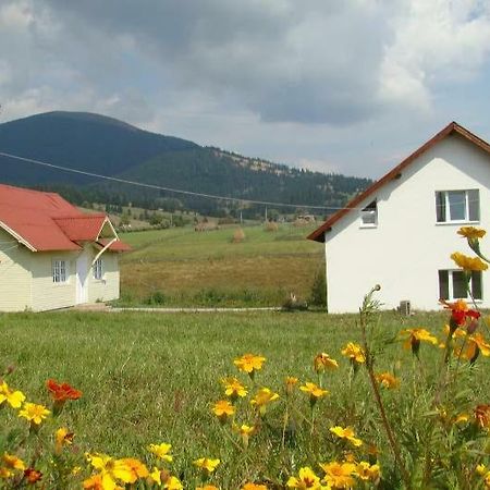 Dealu Floreni Casa Ana Vatra Dorneiヴィラ エクステリア 写真