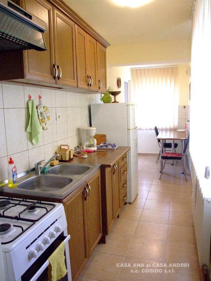 Dealu Floreni Casa Ana Vatra Dorneiヴィラ エクステリア 写真