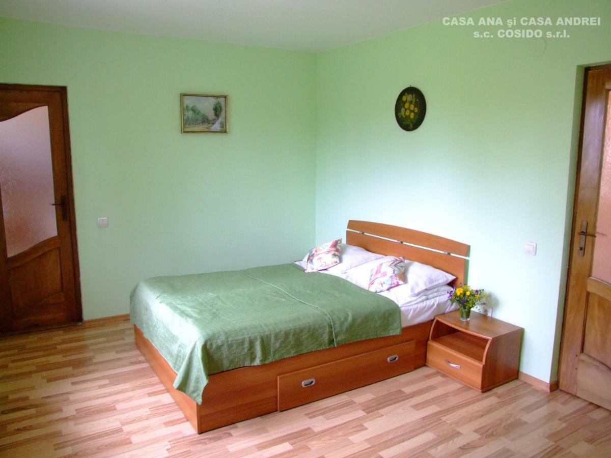 Dealu Floreni Casa Ana Vatra Dorneiヴィラ エクステリア 写真